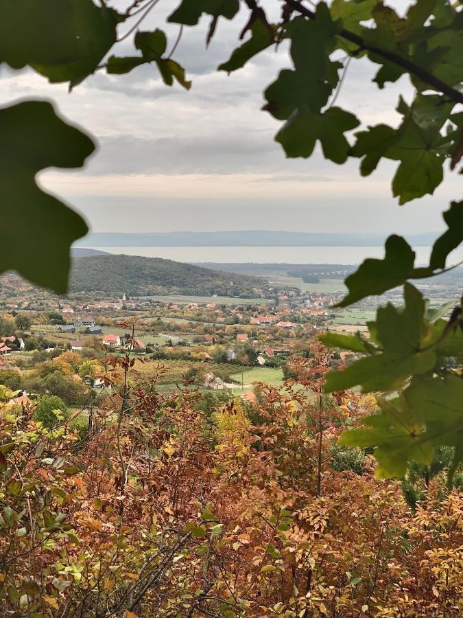 Kisvulkan Nyulontul Mencshely Εξωτερικό φωτογραφία